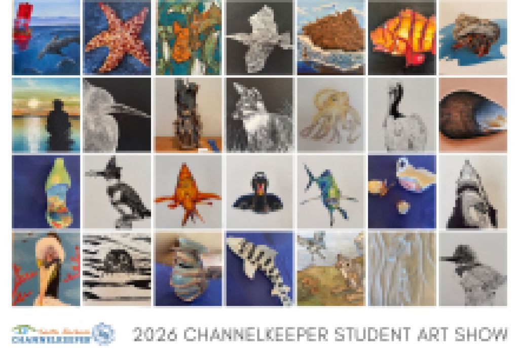 23rd Annual Student Art Show Celebrates Students’ Connection to the Santa Barbara Channel 