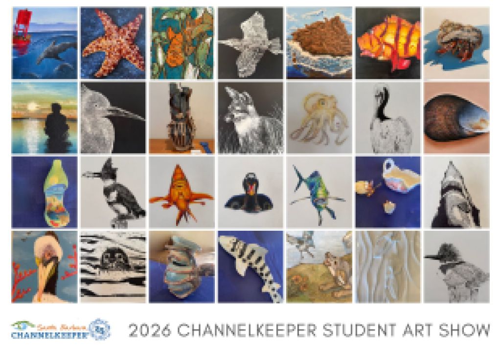 23rd Annual Student Art Show Celebrates Students’ Connection to the Santa Barbara Channel 