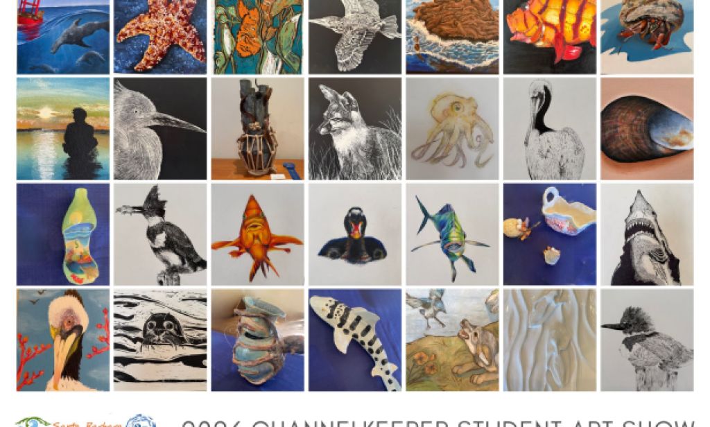 23rd Annual Student Art Show Celebrates Students’ Connection to the Santa Barbara Channel 