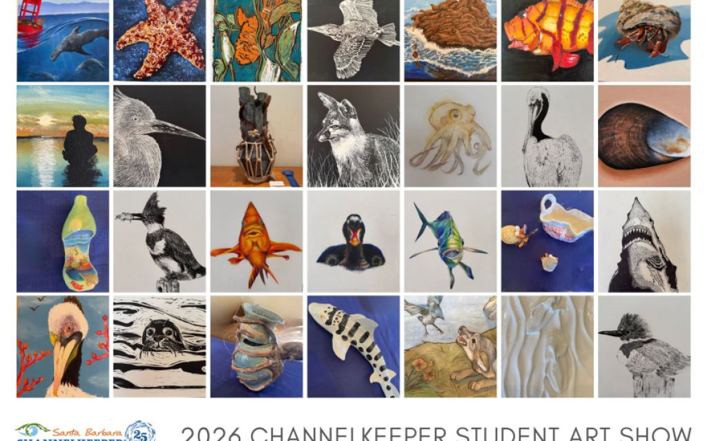 23rd Annual Student Art Show Celebrates Students’ Connection to the Santa Barbara Channel 