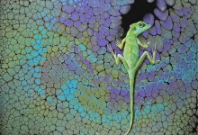 Cypress Gallery Lompoc’s “Pouring My Art Out”