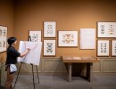 The Art of Science: Drawing Butterflies & Moths