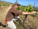 The Hands-On Hard Work of Mazette Wines