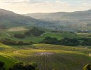 Ten Thousand Steps for Mental Health at Alma Rosa Winery in Buellton