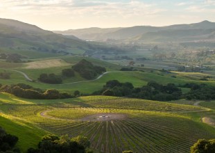 Ten Thousand Steps for Mental Health at Alma Rosa Winery in Buellton