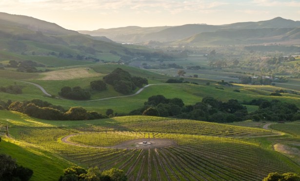 Ten Thousand Steps for Mental Health at Alma Rosa Winery in Buellton