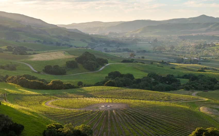 Ten Thousand Steps for Mental Health at Alma Rosa Winery in Buellton