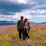 Sympathy for Santa Rosa Island