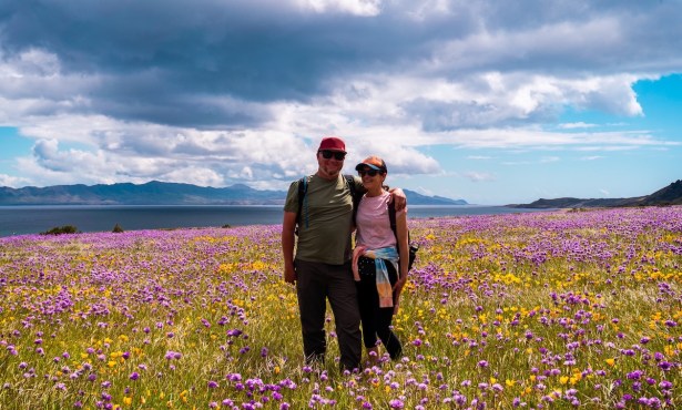 Sympathy for Santa Rosa Island