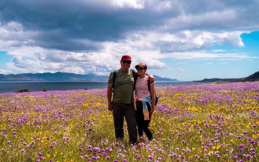 Sympathy for Santa Rosa Island