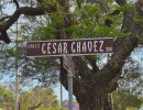 Renaming Calle Cesar Chavez with Purpose