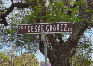Renaming Calle Cesar Chavez with Purpose