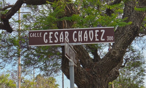 Renaming Calle Cesar Chavez with Purpose