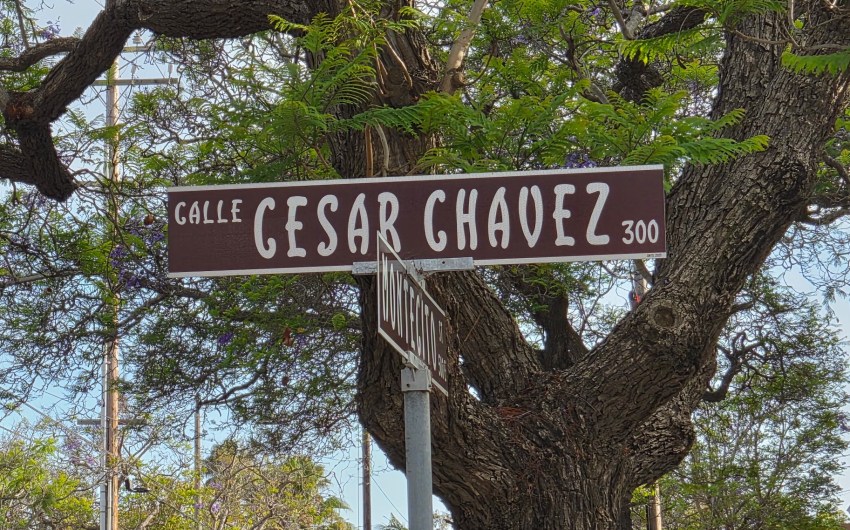 Renaming Calle Cesar Chavez with Purpose