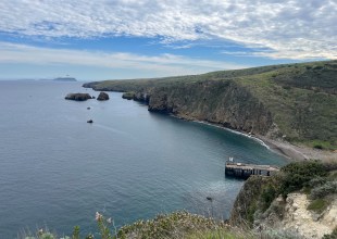 Marine Protected Areas Do In Fact Work, Study Shows