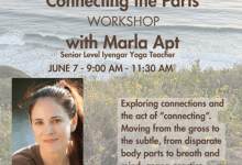 Connecting the Parts Workshop
