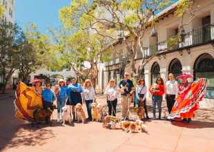 Fiesta Dog Parade Will Debut in Downtown Santa Barbara
