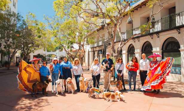 Fiesta Dog Parade Will Debut in Downtown Santa Barbara