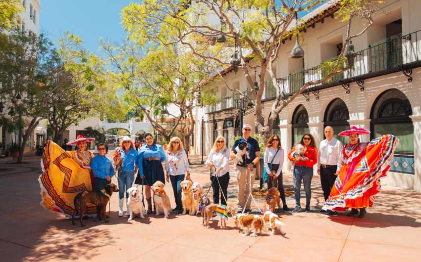 Fiesta Dog Parade Will Debut in Downtown Santa Barbara