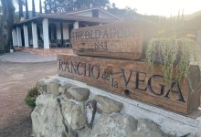 Vega Vineyard Wines Vermentino Gold