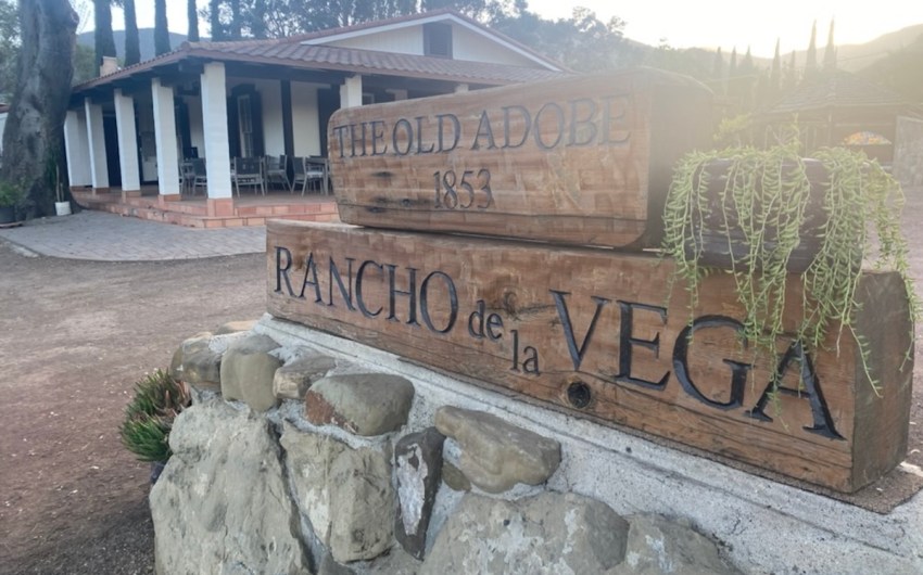 Vega Vineyard Wines Vermentino Gold