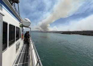 What We’re Losing in the Santa Rosa Island Fire