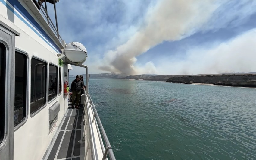 What We’re Losing in the Santa Rosa Island Fire