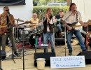 The FREE RADICALS BAND