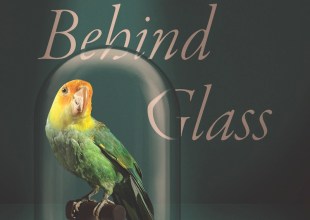 Book Review | ‘Ghosts Behind Glass: Encountering Extinction in Museums’ by Dolly Jørgensen