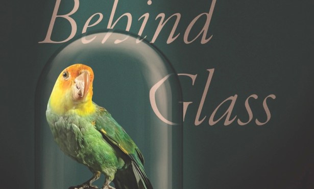 Book Review | ‘Ghosts Behind Glass: Encountering Extinction in Museums’ by Dolly Jørgensen