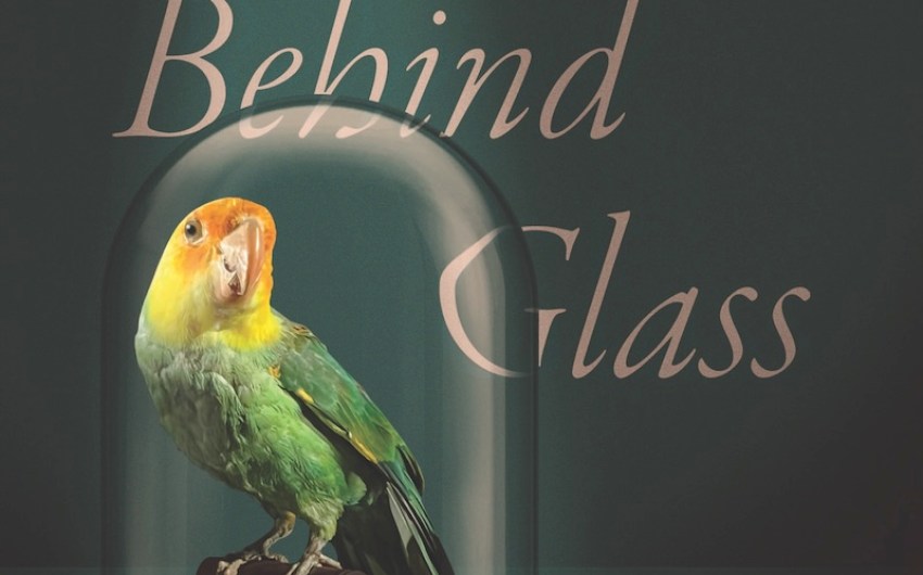 Book Review | ‘Ghosts Behind Glass: Encountering Extinction in Museums’ by Dolly Jørgensen