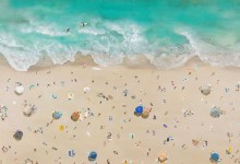 Art & Soul Exhibition: “Viridian Shores”