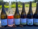 Âmevive: Two Pairs of Boots, One Vineyard, and a Billion Tenants