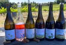 Âmevive: Two Pairs of Boots, One Vineyard, and a Billion Tenants