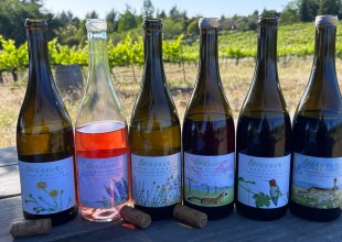 Âmevive: Two Pairs of Boots, One Vineyard, and a Billion Tenants