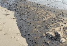 Oil Blankets Beach Near UC Santa Barbara