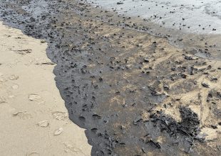 Oil Blankets Beach Near UC Santa Barbara
