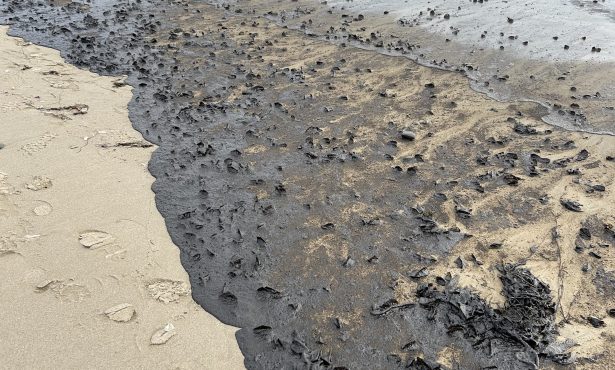 Oil Blankets Beach Near UC Santa Barbara