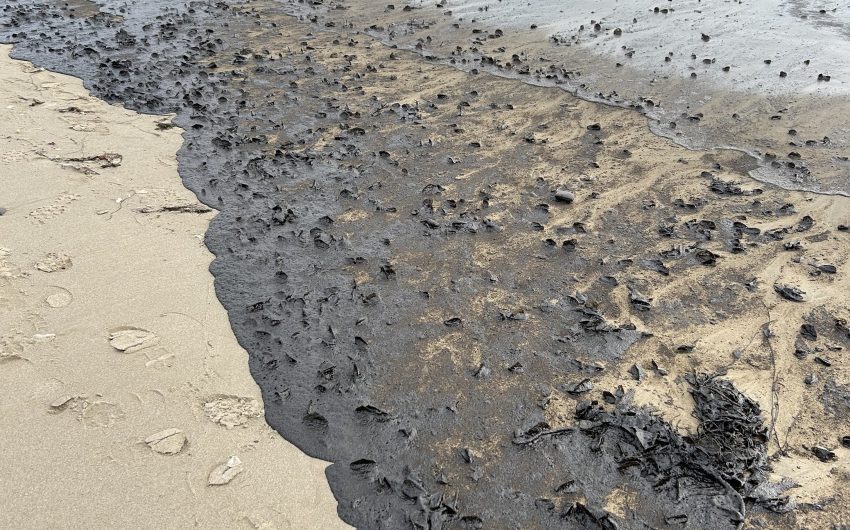 Oil Blankets Beach Near UC Santa Barbara