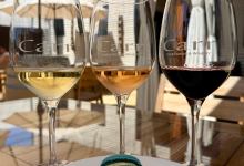 Macarons + Wine at Carr Warehouse 5.9.26