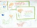 Drop-in Nature Journaling: Birds, Blooms & Bugs!