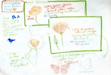 Drop-in Nature Journaling: Birds, Blooms & Bugs!