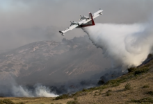 Santa Rosa Island Fire, Largest Ever Recorded on Channel Islands, Nears 50 Percent Containment