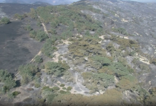 Santa Rosa Island Fire Enters ‘Mop-Up’ Phase on Day Eight