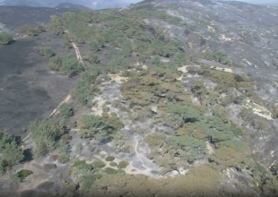 Santa Rosa Island Fire Enters ‘Mop-Up’ Phase on Day Eight