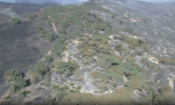 Santa Rosa Island Fire Enters ‘Mop-Up’ Phase on Day Eight
