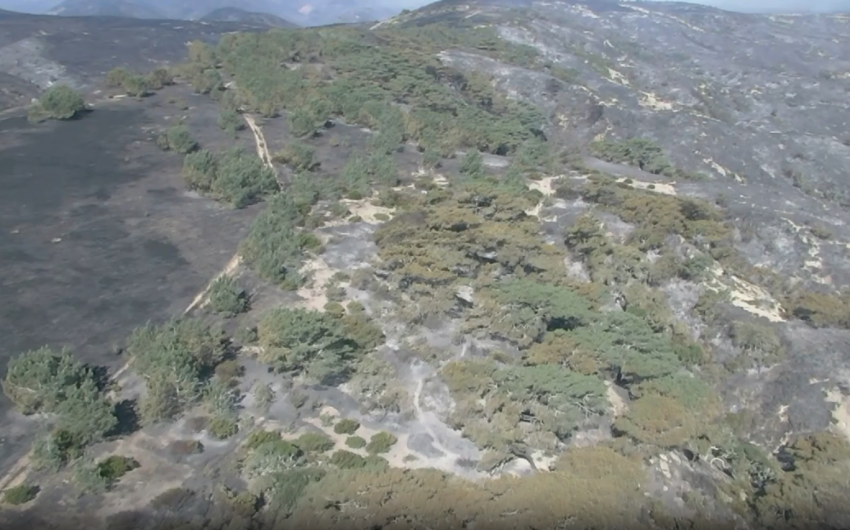 Santa Rosa Island Fire Enters ‘Mop-Up’ Phase on Day Eight