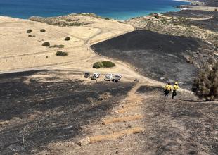Santa Rosa Island Fire Nears Full Containment