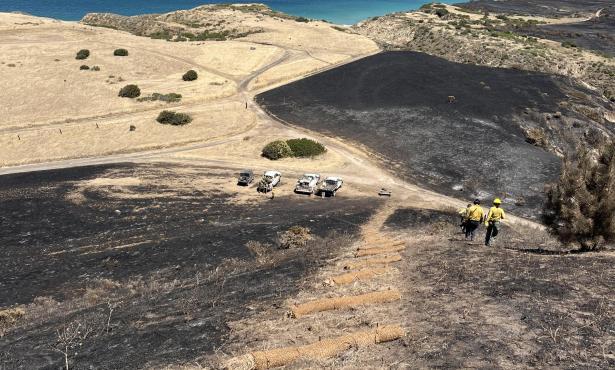 Santa Rosa Island Fire Nears Full Containment