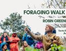 Foraging Walk with Robin Greenfield in Santa Barbara
